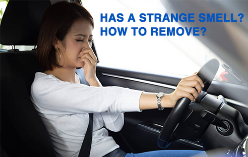 Latest company blogs about How to Rid Your Car of Odors and Smells: Your Ultimate Guide